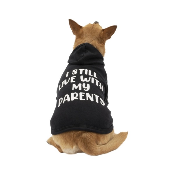SOLD NWOT I still live with my parents graphic Vibrant life essential dog hoodie - Picture 2 of 10